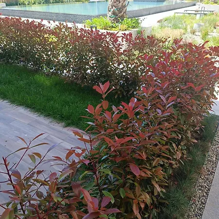 Apartman Cozy Flat азур Szent Konstantin és Elena